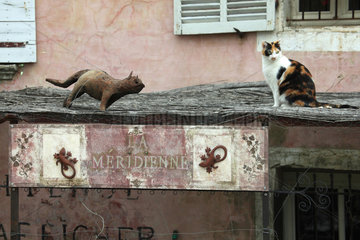 Cats on a bamboo roof - France