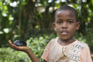 7 year old boy holding a Tortoise in his hand  Santana  Sao Tome and Principe Island