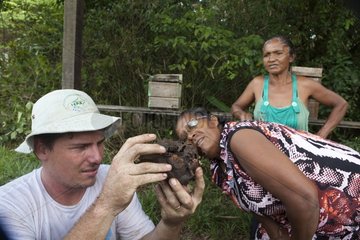 Trainer showing honey. Training organized by the Chico Mendes Scientific Institute for Ribeirinhos populations living along the Araguari River in the Amazon with the objective of producing honey initially for personal consumption and eventually for sale; Trainer Douglas Schwank.