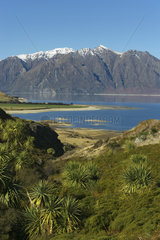 Hawea lake  South Island  New Zealand