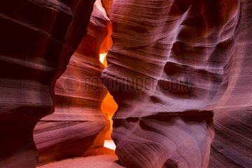 Upper canyon  Antelope Canyon  Page  Arizona  USA