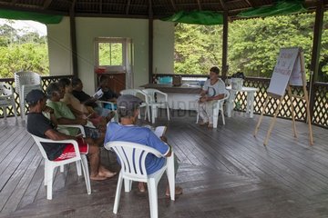 Melipona bee keeping training.Training organized by the Chico Mendes Scientific Institute for Ribeirinhos populations living along the Araguari River in the Amazon with the objective of producing honey initially for personal consumption and eventually for sale; Trainer Douglas Schwank.