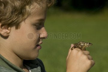 Boy with a Pickerel frog on the finger Pennsylvannia USA