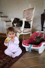 Baby playing with cats around her France