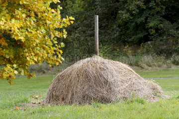 Old-style haystack in the park of Madame Elisabeth domain in Versailles  France
