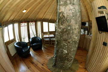 Interior of a tree house - Jura France