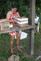 Installation of hives. Training organized by the Chico Mendes Scientific Institute for Ribeirinhos populations living along the Araguari River in the Amazon with the objective of producing honey initially for personal consumption and eventually for sale; Trainer Douglas Schwank.