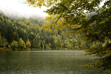 Lac des Corbeaux in autumn - Vosges France