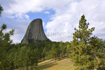 Devils tower national monument  Wyoming  USA