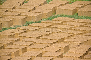Mud brick drying  Nepal