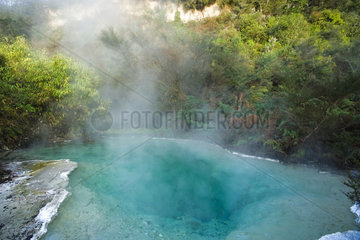 Orakei-korado geotermic place  Taupo Volcanic  Zone  North Island  New Zelande