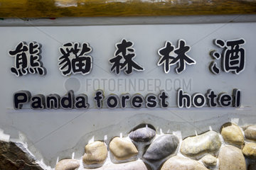 Panda infos at the Panda Forest Hotel  Shaanxi province  Qinling Mountains  China