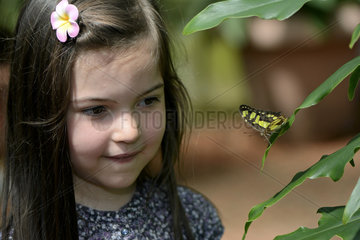 Girl watching a Malachite - Butterfly Garden France