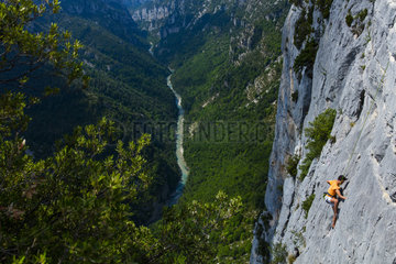 Climbing  Gorges du Verdon Natural Park  Alpes Haute Provence  France  Europe