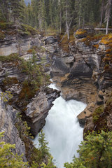 Athabasca Falls - Jasper Alberta Canada