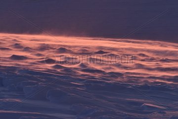 Windblown snow at sunrise. Igterajivit district in February  eastern Greenland