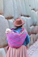 Quechua woman carrying a baby lama on her back  Cuzco  Peru