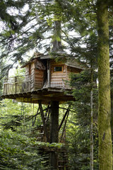 Chalet house in tree - Vosges France