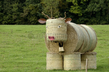 Cow hay bales to an agricultural show - France