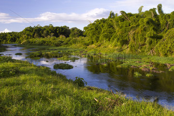 Cachoeira river in Atlantic forest - Bahia Brazil