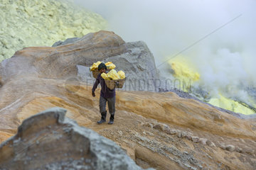 Indonesia  Java Island  East Java province  Kawah Ijen volcano  Miner carrying baskets of sulfur