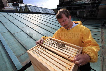 Urban Beekeeping - Frank Hinrichs  43 years old  firmly grasping a frame on the roof of the Berlin Cathedral. After a faultless career as a financial and real estate advisor for a big hotel group  Frank bought a building and turned into a youth hostel. Amateur beekeeper  he loves to feel the palpitating life when he opens a hive. His hotel is 300 meters from the Berlin Cathedral and he can visit his bees practically every day during the swarming period.