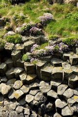 Columnar basalt - Isle of Staffa Hebrides Scotland