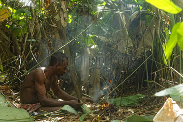 The pygmy canopy honey. In the undergrowth  a fire is lit to prepare the smoker for the bees. In the heart of the forest  when a space is opened to the sun  thousands of gnats swarm to the men to enjoy the mineral salts from their perspiration  drawing from their skin some nourishment. Likouala  Congo