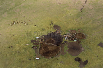 Masai village and herd of cattle - Masai Mara Kenya