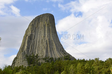 Devils tower national monument  Wyoming  USA