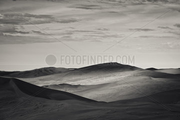 Sand dunes of the Namib Desert  Naukluft  Namibia