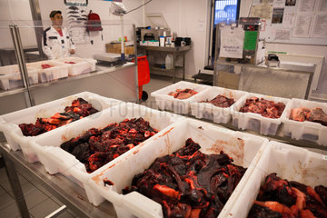 Seal meat at a butcher in Sisimiut  Greenland.