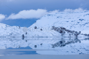 Caviahue lake in winter  Patagonia  Argentina