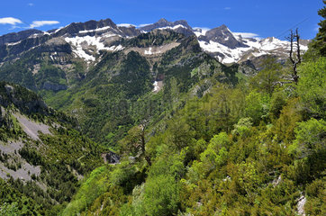 View of the Val de Izas in spring. Pyrenees  Aragon  Spain