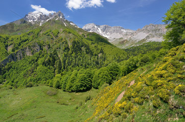 Pic d'Anie in spring from Azun valley  Aspe valley  Pyrenees  France