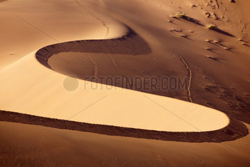Sand Dune - Dead Vlei Namib Desert Namibia