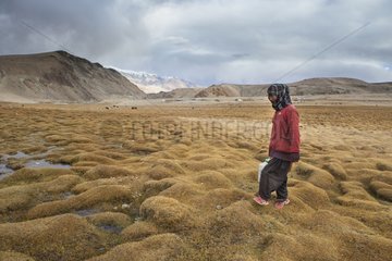Young woman looking for water at the creek  Surroundings of Korzok  Leh  Ladakh  Himalayas  India