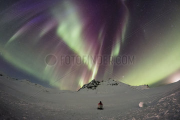 Aurora borealis photographer  Vik  Iceland