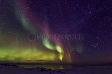 Aurora borealis over the Scoresbysund  Greenland  February 2016