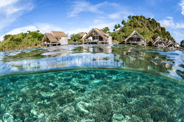 Misool Eco Resort  Raja Ampat  West Papua  Indonesia