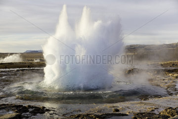 Strokkur  fountain geyser in the geothermal area beside the Hvítá River  east of Reykjavík  Iceland