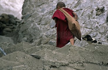 Young monk and dog Monastery Thiksey Leh India