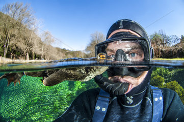 Selfie with a Common toad (Bufo bufo) swimming at the surface  Bueges spring  Occitania  France