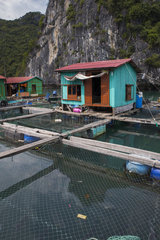 Floating House  Cat Ba island  Lan Ha Bay  Vietnam