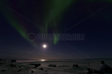Ice floe West of Unarteq at full moon  Greenland  February 2016