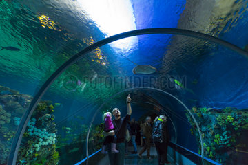 National Aquarium Denmark Den Ba Planet - Copenhagen Denmark