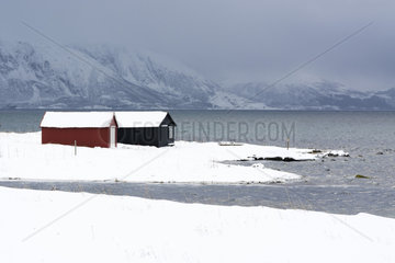 Wood houses on shore in winter  Osvoll  Vesteralen Islands  Norway.