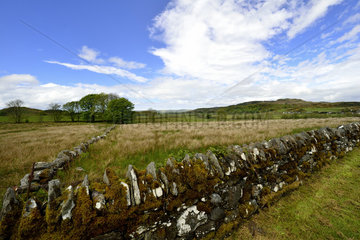 Dry stone walls on the moor - Isle of Mull Scotland