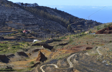 Wildfire. Forest fire extinction in Erjos  Tenerife. Canary Islands.