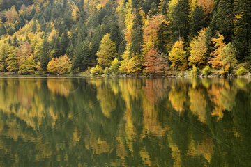 Lac des corbeaux in autumn - Vosges France